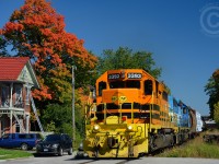 Fall is here - and the colours that are out so far are just brilliant! Train 431 rolls by Kent St near downtown Guelph, where the homes are a mere stones throw from the tracks.