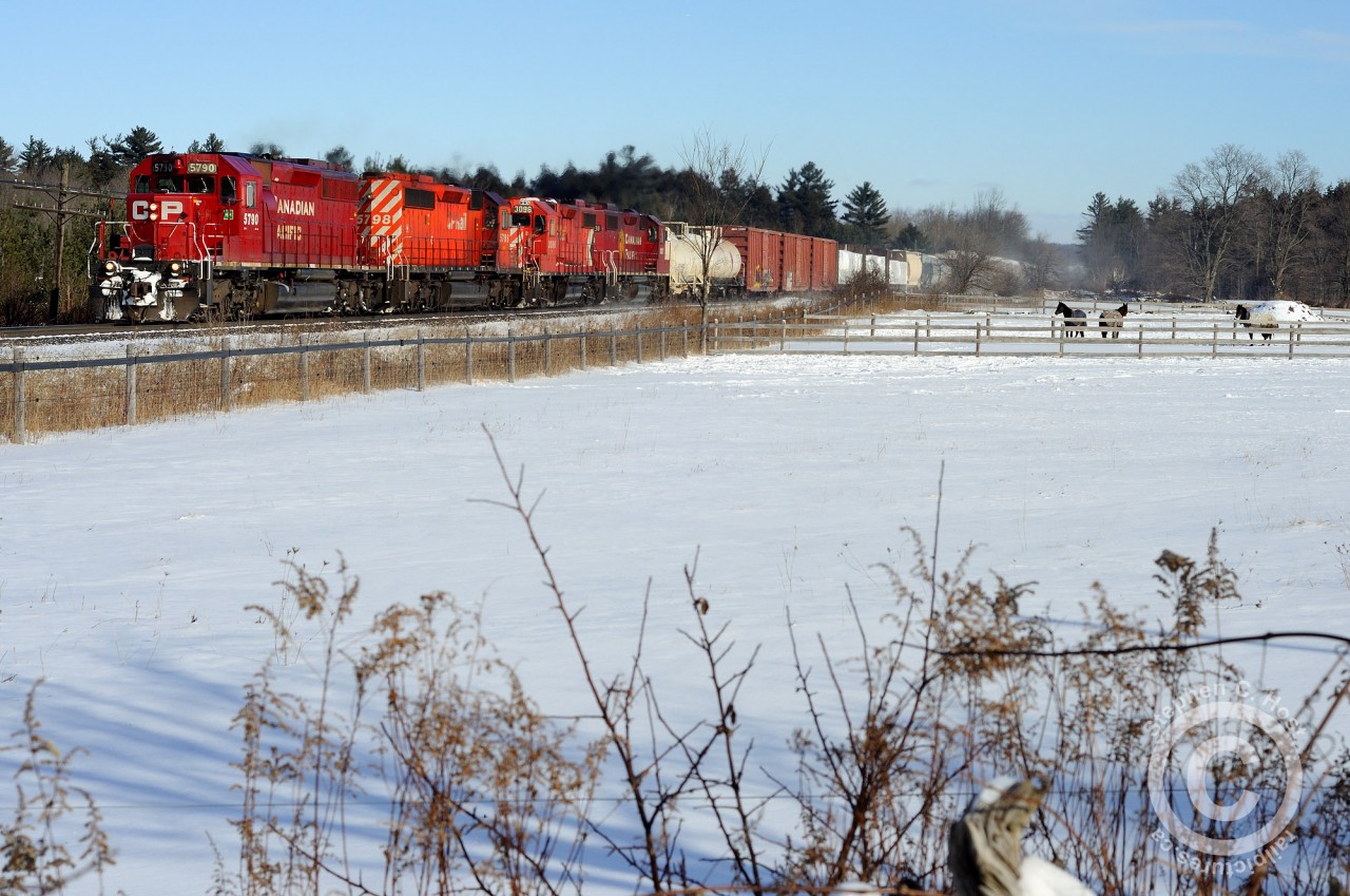 At Milburough line, a quartet of EMD(eecent) powered engines are growling as the tail end clears one of the two ruling westbound grades for the Galt sub. (The other westbound ruling grade is Orrs Lake hill, 25-30 miles to the west). Shot with 50mm f/1.8.