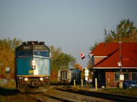 A warm autumn afternoon finds VIA Rail train 59, bound for Ottawa and Toronto, in a running meet with train 28 heading for Montreal and Quebec City at Alexandria ON in bright fall colours. Train 59 is being pulled by F40PH 6432 and 28 is in the charge of a P42.