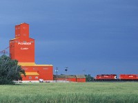 CP Rail GP38-2 3056 leads train #560 past the Pioneer elevator at Carey, enroute from Winnipeg to the US border at Emerson where CP (and CN) interchange with Burlington Northern and Soo Line.