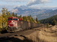 Eastbound coal train at Caithness BC on a beautiful fall morning