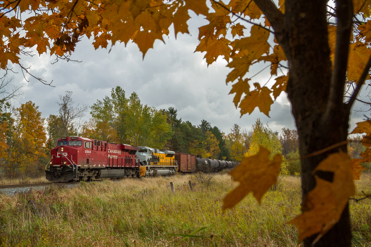 King Harvest Has Surely Come!.Canadian Pacific ethanol train # 641 crests the hill at Mile 68.50 of the Hamilton Subdivision with a very special visitor - Union Pacific 1989, a heritage unit which wears the famed Rio Grande paint scheme. To my knowledge this is the first heritage unit to traverse the Hamilton Subdivision, and this is the first one that I have ever seen. With orange leaves, and a heavy October Sky it appears that 'King Harvest' has surely come (reference to a song by The Band).