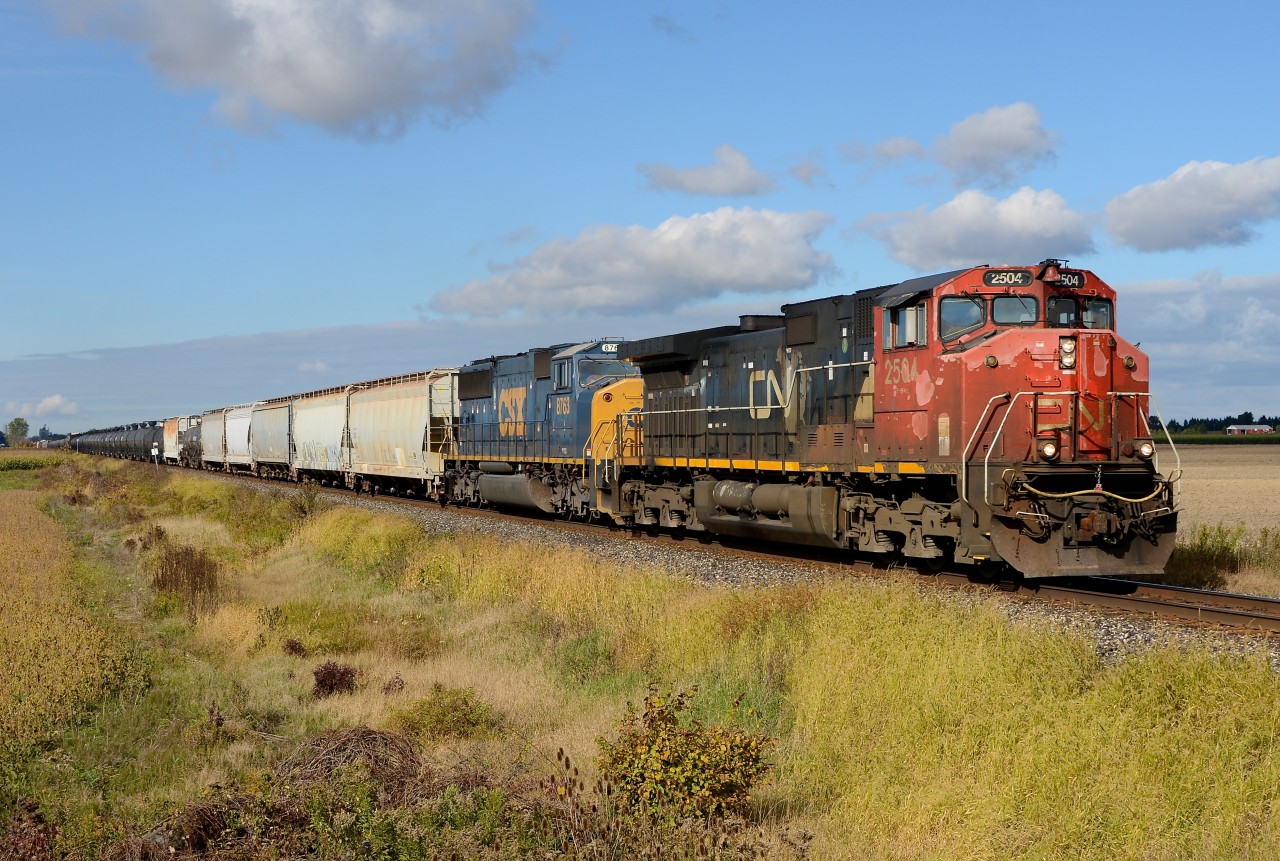 CN2504 with CSX8763 at South Plympton Line east of Wyoming.