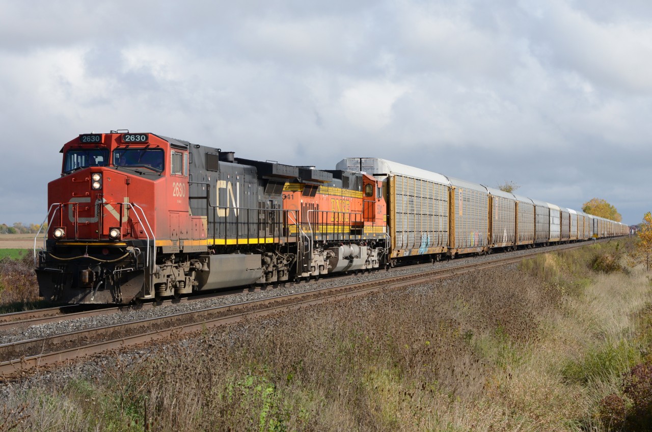 CN2630 with BNSF5341 west bound at Waterworks Road heading for the St. Clair River Tunnel.