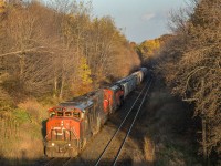 Even with 4 veteran EMD beasts for power, CN 435 maintains about 10mph past mile 9 on Copetown Hill. CN 5503, 5477, 5546, 4729 are for power, going all out. The legendary EMD sounds of run 8 were unmistakable. This particular train was a good 150 cars long, nearly half of it being loaded autoracks. CN 5503, the leader, while technically an SD60F, is classified as an SD50AF. It's zebra paint has been tampered with, containing bits of newest paint scheme on the left side, likely due to engine door replacements. Only a few blocks behind 435 is 360, which was moving at a much better pace and closing in.