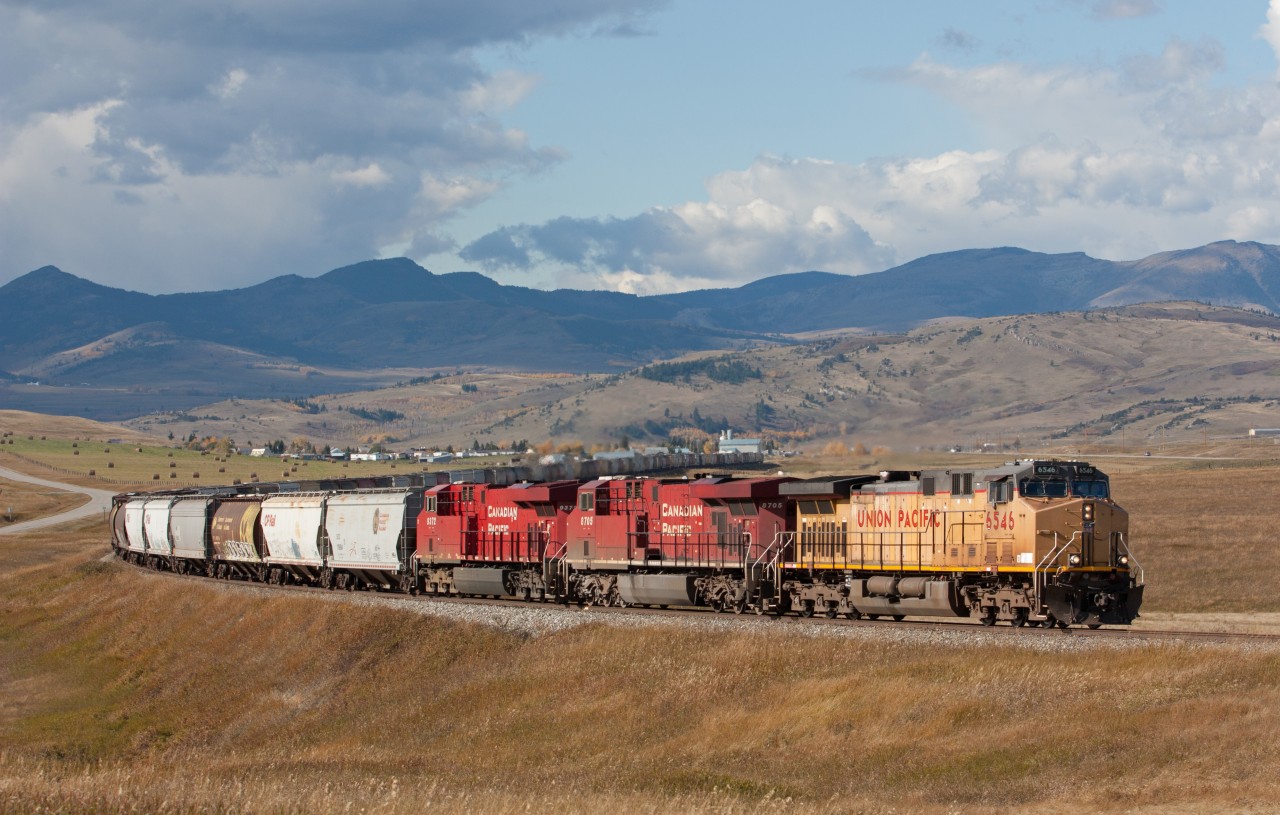 It is very common to see Union Pacific locomotives along this line. For some time not long ago, this is where you could catch some UP SD90's.. but no more. Today we had UP AC4400CW 6546 leading the climb out of Lundbreck Alberta with grain empties. They would eventually take the siding in Fort MacLeod for a meet with two westbounds.