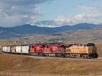 It is very common to see Union Pacific locomotives along this line. For some time not long ago, this is where you could catch some UP SD90's.. but no more. Today we had UP AC4400CW 6546 leading the climb out of Lundbreck Alberta with grain empties. They would eventually take the siding in Fort MacLeod for a meet with two westbounds. 