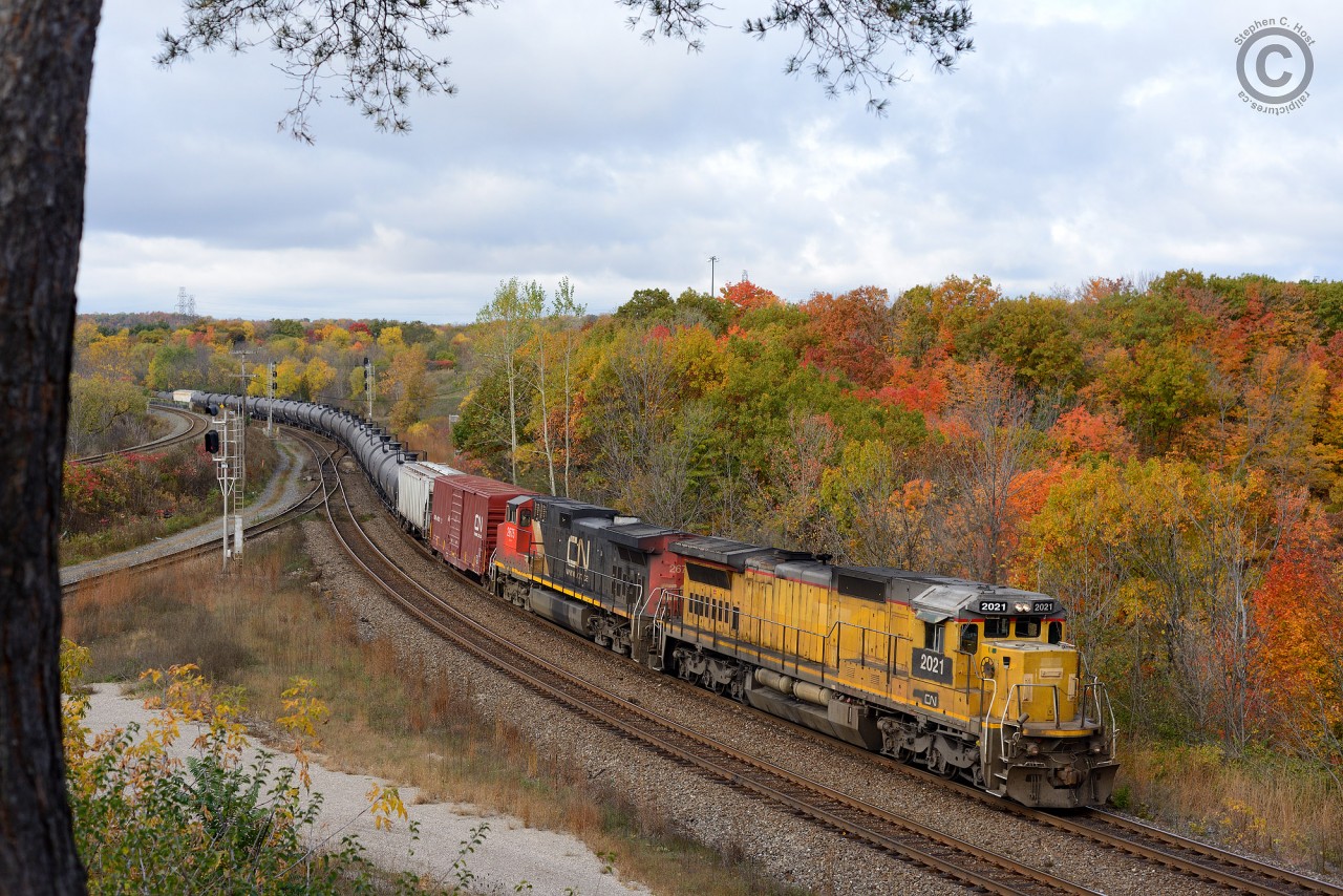One of CN's finest locomotives rounds the bend at the RBG before hitting Bayview Junction.