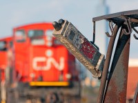 Just a loner hangin around.