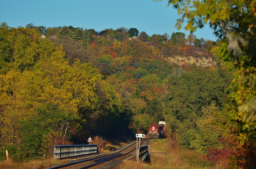 Train 246 heads south out of Hamilton as the trees on the Niagara Escarpment begin to change colour on a sunny October morning.
