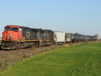 CN331 west bound at Camlachie Side Road with CN2668 and IC1021.