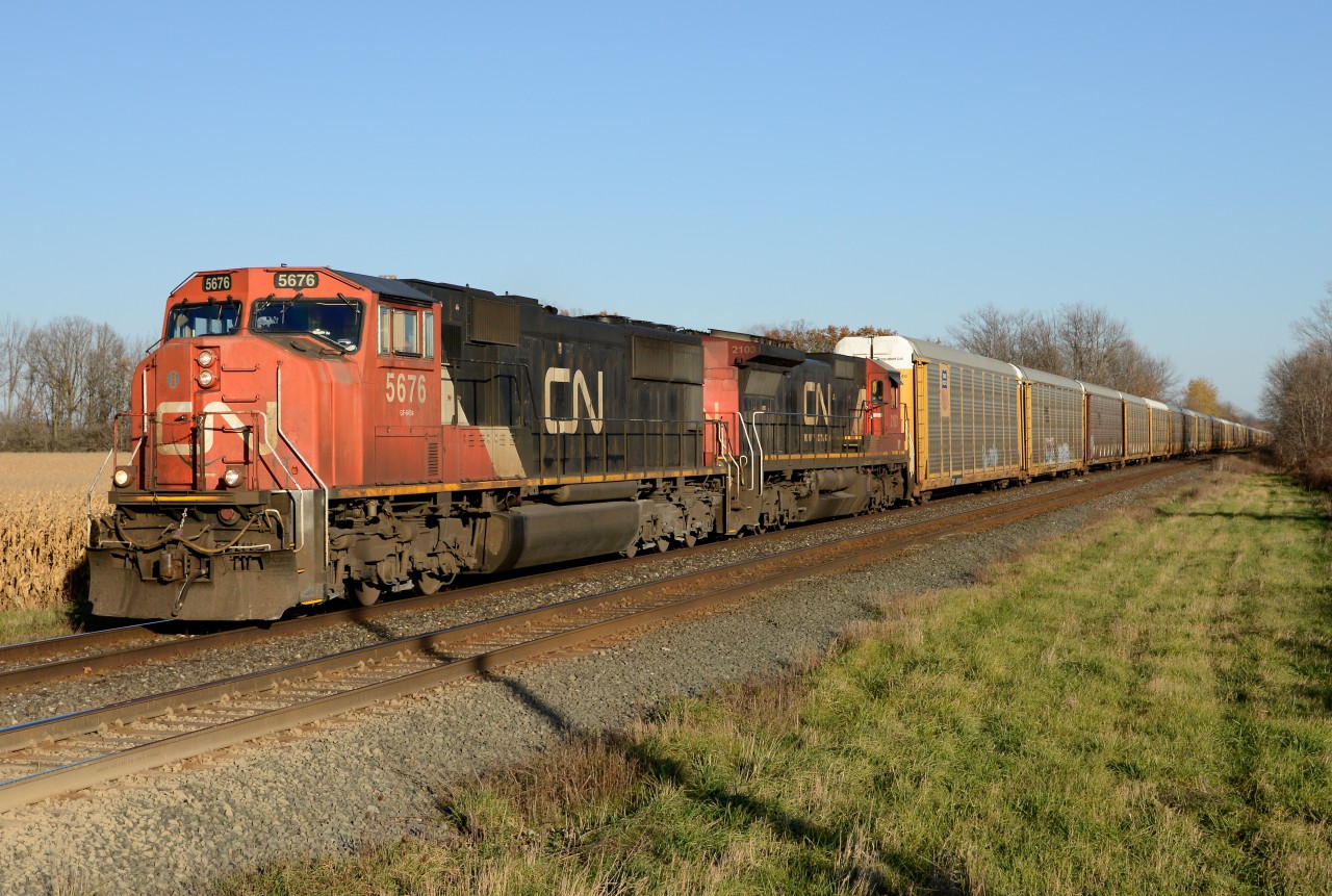 CN train 393 west bound at Stewardson Side Road with CN5676 and 2103.