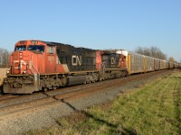 CN train 393 west bound at Stewardson Side Road with CN5676 and 2103.