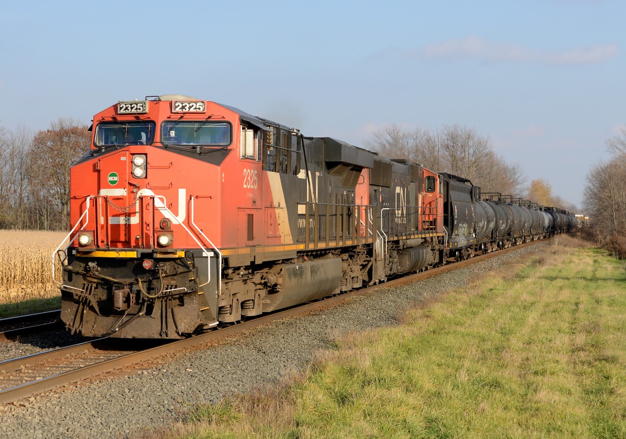 CN2325 with CN5790 lead train 331west bound at Stewardson Side Road.