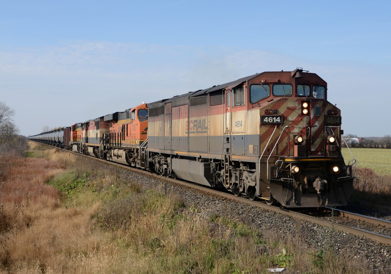 CN train 710 east bound at Fairweather Side Road with BCOL 4614 leading BNSF7132, BCOL4611(dead) and BNSF5490.