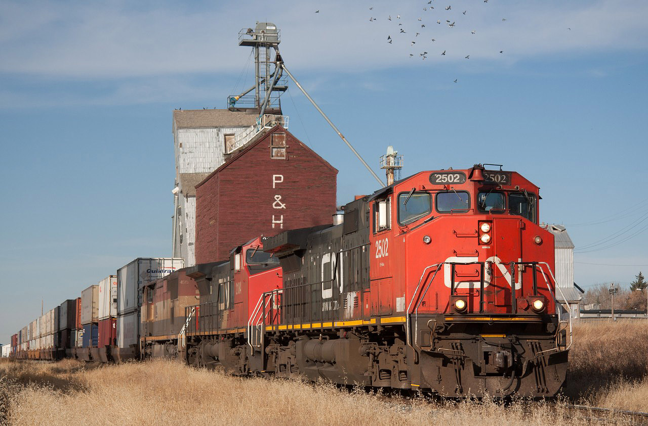 The pigeons are startled off their elevator perch with CN 115's arrival through Three Hills Alberta.