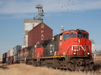 The pigeons are startled off their elevator perch with CN 115's arrival through Three Hills Alberta. 