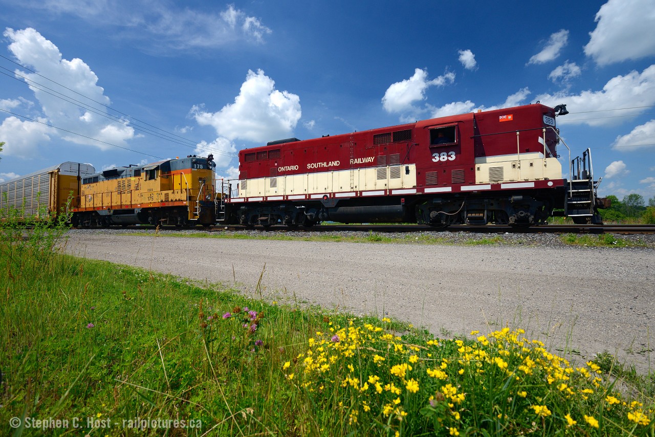 F units? What F units. Plenty to enjoy in a pair of unrebuilt Geeps, each a different model (GP7/9) and each a different colour. Mother nature tries hard to match with yellow Marigolds and purple Clovers blooming by the rail yard. Note: Polarizer lens used to improve colour and reduce reflections.