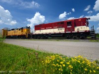 F units? What F units. Plenty to enjoy in a pair of unrebuilt Geeps, each a different model (GP7/9) and each a different colour. Mother nature tries hard to match with yellow Marigolds and purple Clovers blooming by the rail yard. Photo note: Polarizer lens used to improve colour and reduce reflections.