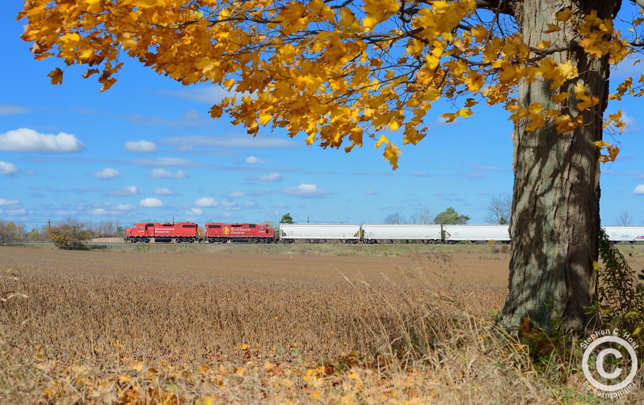 The London Pickup is wasting no time returning west like a bat out of hell, with a pair of groaning gp38-2's at the charge. One has to enjoy the fall colours - hues of yellow, orange and brown dominate the typical farmland scene, just two months prior most of what you would see here would have been green.