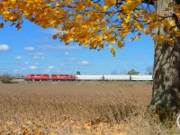 The London Pickup is wasting no time returning west like a bat out of hell, with a pair of groaning gp38-2's at the charge. One has to enjoy the fall colours - hues of yellow, orange and brown dominate the typical farmland scene, just two months prior most of what you would see here would have been green.

