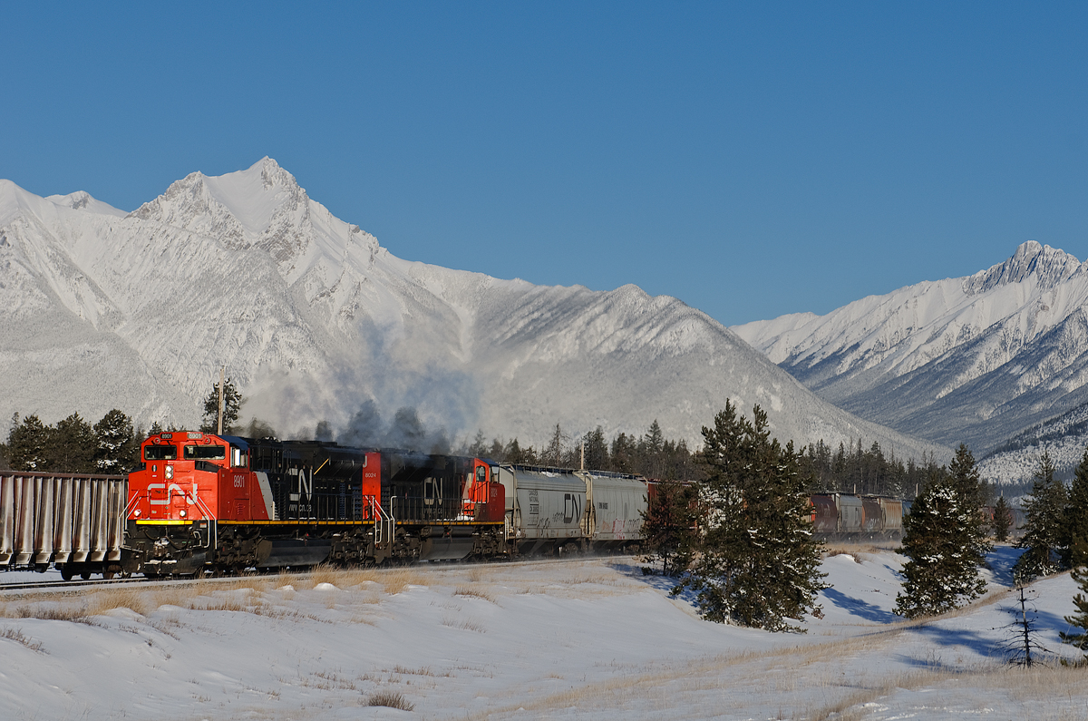CN SD70M-2s 8901 and 8024 cruise towards Jasper on an extremely chilly, -37 morning east of Jasper.