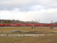 Canadian Pacific's American Holiday train hustles across the Galt sub.