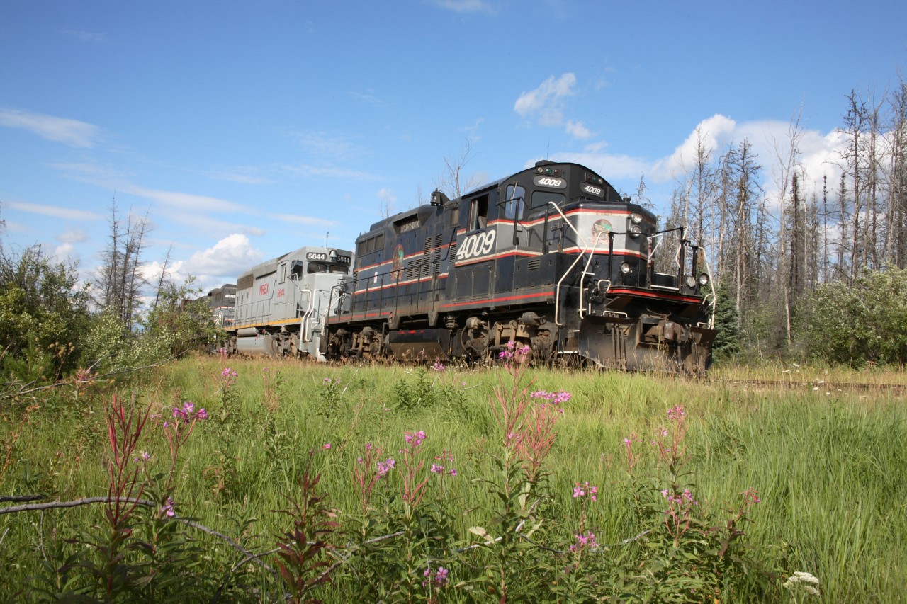 Before CN once again took over the former NAR Waterways Sub in 2008, it was operated by Cando Rail Services as the Athabasca Northern Railway.  On two separate occasions during 2007, I was based in Lac La Biche,running trains between our connection with CN at Boyle AB and Fort McMurray. Remote country to say the least,and with meets, log loading, track work delays etc., the ability to grab an image was often there.  I'll post more over the next few weeks, but here's the first.
We've just traded trains with the southbound crew, and are waiting for Clearance to head south with 110, an Alpac log train.  4009 is the leader, and after CN took over the ANY, 4009 was transfered to Orangeville ON.