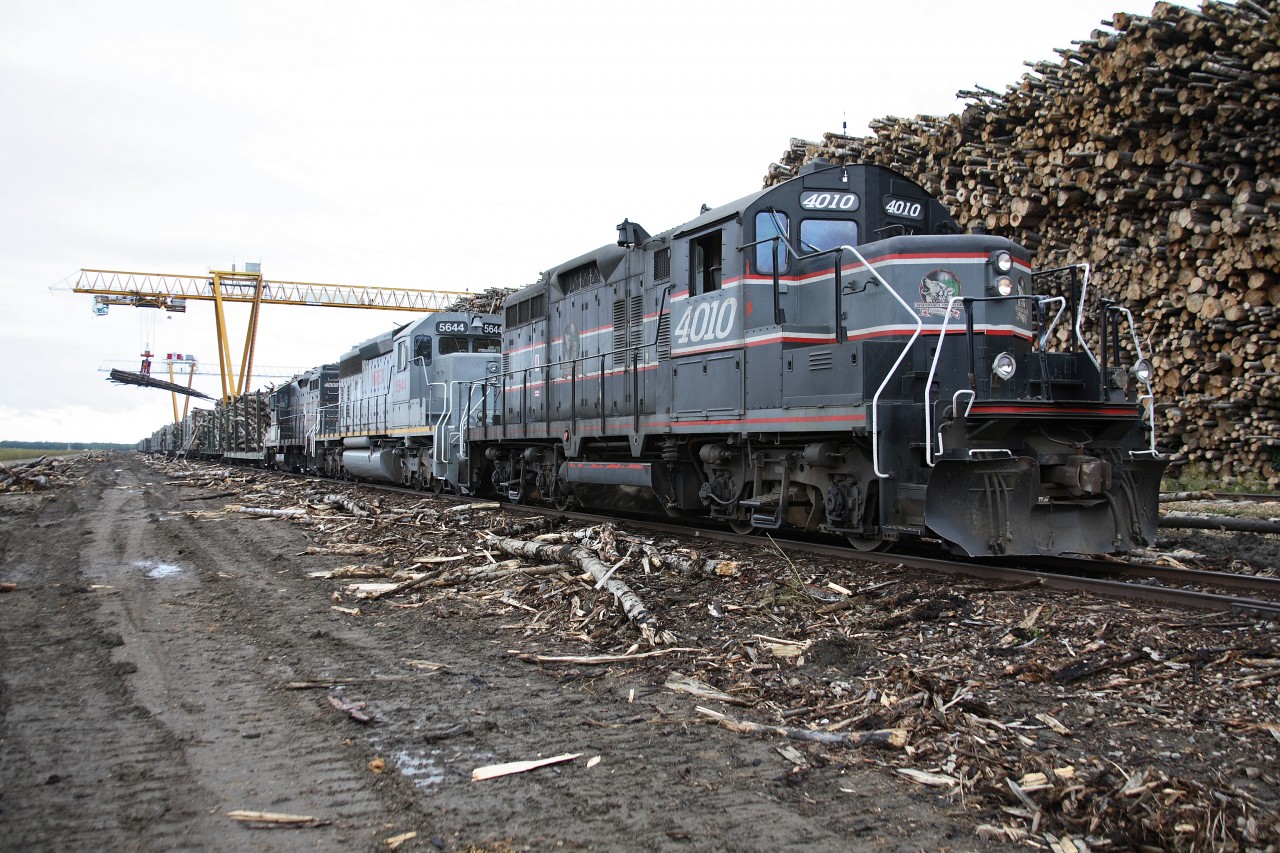 Train 110 has just pushed over the weigh scales and into the unloading position at the giant Alberta-Pacific Mill.

Even before the conductor has set hand brakes and cut-off the power, one of the massive unloaders has already started work.