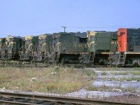 A nice gathering of first generation Canadian National MLW and CLC power congregates at the CN Belleville engine terminal where the roundhouse was located. RS18's rule the roost in this image, but a CLC and switcher mingle in too. From closest, right to left are CN 3719 in the new "1961" black and red noodle paint scheme, 3810, 3119, 3109, 3701, H16-44 2213, and 3683 all in the old "1954" green and yellow livery. 