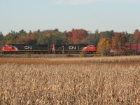 CN 2534 and CN 5660 lead a westbound, which I believe is CN 435, at Lynden during a nice autumn afternoon.