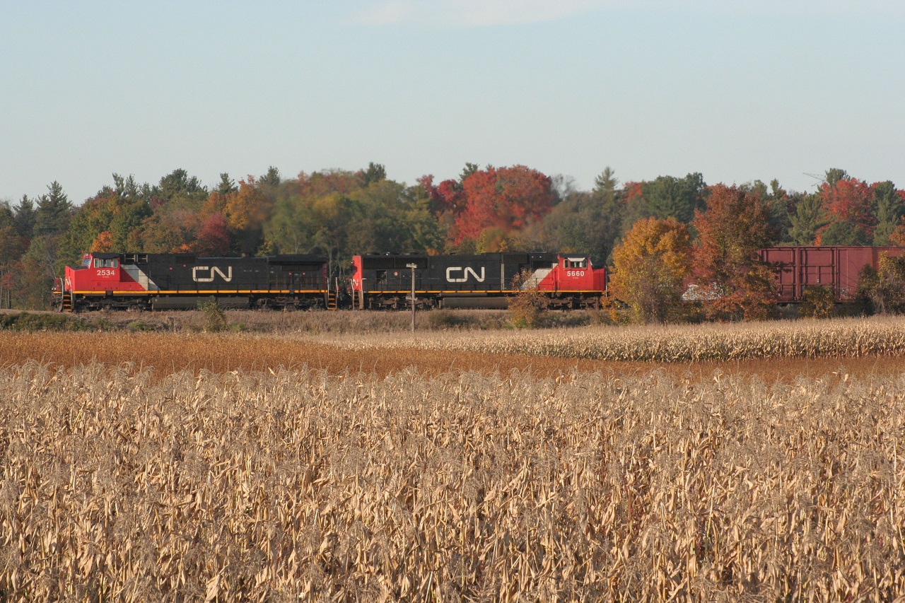 CN 2534 and CN 5660 lead a westbound, which I believe is CN 435, at Lynden during a nice autumn afternoon.