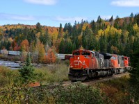 CN 369, heavily loaded with woodchips, lumber, aluminum and other products from northern Quebec heads south past the famous Club Arlau curve with fall foliage adding a colorful touch. Head end power is three GMD units (CN 8884, CN 5765 & CN 9590) with two more units mid-train (CN 5676 & CN 2235) helping this train get to the next crew change at Garneau Yard without breaking a knuckle (a not uncommon occurrence on this up and down subdivision).