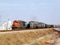 Canadian National GP38-2 5506 in in the siding by the co-op cattle pens with its train, as Norfolk and Western F7A's 3726 and 3666 pass by on the north main track at Thamesville on the CN Chatham Sub, likely after coming off the Paynes Sub to the east at Glencoe.