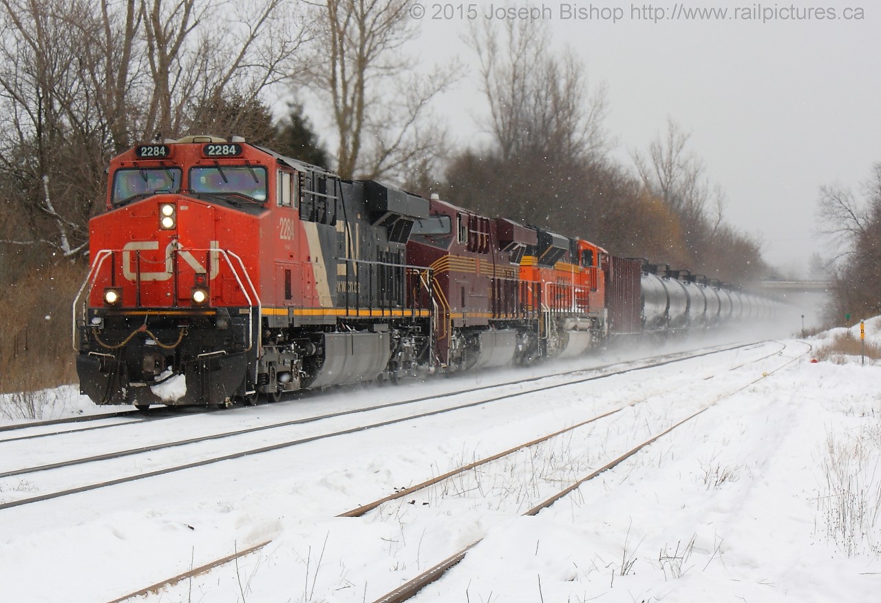 Heritage!  CN U711 roars up the grade at Copetown with CN 2284, NS 8102 The Pennsylvania Railroad Heritage Unit and BNSF 9115.  This was my first heritage unit sighting...good way to kick off Winter Reading Week!