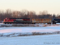 In the last rays of sun, a far from home Ferromex engine is pushing on the tail end of Oil Train 550. Leader for this train was CP 8519 and, as expected, this train was not making track speed with 100 oil cans and two buffers.