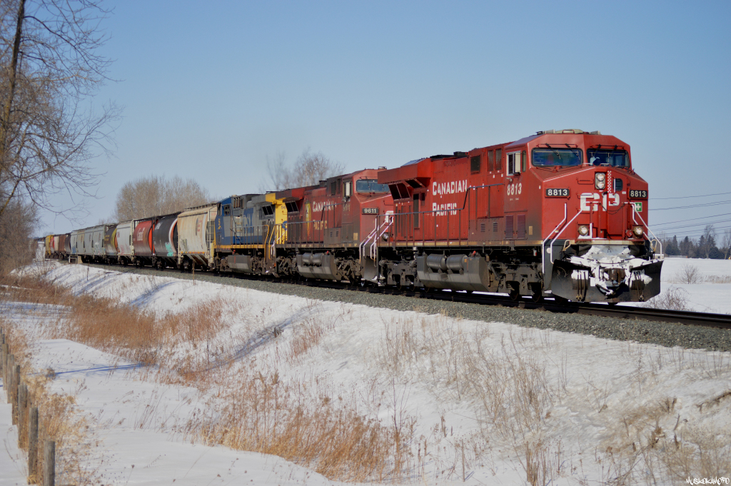 CP 8813 South hustles out of Spence trying to get a run at the grade from Tottenham down to Palgrave, today's 302 has 109 grain loads for Quebec, powered by CP 8813/CP 9611/CSXT 56 on the head end and UP 5557 working 50 cars deep.