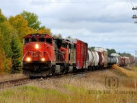 Accelerating its short manifest out of Fort Frances and onto Canadian soil, uniquely built for CN C44-9WL 2516 leads another uniquely Canadian engine, SD60F 5533 westward through the small hamlet of Crozier. The train will enter the States approximately 50 miles down the line at the former crew change point of Rainy River. It will traverse through northern Minnesota for another 45 miles before re-entering Canada and continuing its westward journey into Winnipeg.