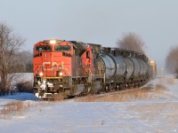 Train 331 heads west at Camlachie Sideroad with CN 8018 and CN 2101.