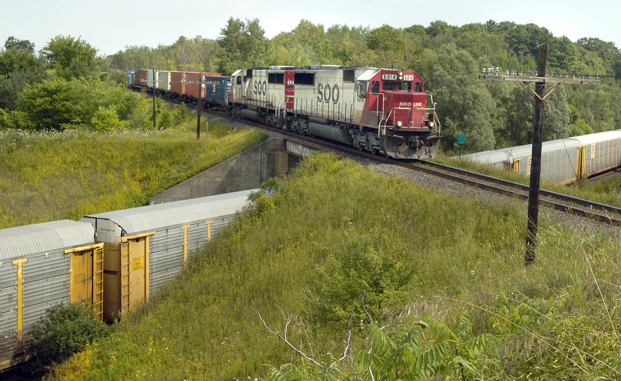On a pleasant August afternoon in 2004 I was In the far north east of Toronto where CP's Belleville sub crosses the CN York sub. Its a pleasant spot not far from the zoo, and on this quiet afternoon I could hear the animals calling in the distance.  But I could also hear the distant call of two approaching freight trains as they whistled for grade crossings.  Two westbound trains converging at the crossing, would I get the head end of both trains in the frame?  Unfortunately, the CN train got there first while the CP (SOO) locomotives were about a hundred yards away.