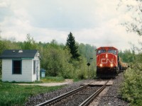 En route to Englehart from Cartier, I passed a turnoff to Westree while on 560 heading east. Knowing the CN went by there, I thought I should check for a shack by the track, or rather, a station. So I turned around and headed in. Route 560A proved to be nothing but dirt and ruts, certainly nothing that resembled a highway but more a logging road at best. And I wasn't really prepared for this "community". First thing I saw after the 10 KM drive in was a dilapidated dive of a general store,carport on the side with empty beer cases piled higher than the roof. (The government dairy must make very infrequent stops here). The 15 or so scattered 'houses' were a depressing sight, and thru the main dirt intersection I went towards the tracks. And my gawrsh!! There is the station !! Not much, but it had a name on it. No sooner I had taken a photo than I heard a northbound train coming around the lake. Growth was right up to the tracks so I really had nowhere to go. The resulting photo was taken with the train barreling down on me around 50-60 mph and I jumped back as soon as I shot this. There was a second unit, CR 6000 and a string of school bus cabs that you can just make out in the photo. A rather large Duchabani Lake (on the right) had a handful of decent looking cottages on it; otherwise this place, 18 miles south of Gogama, was a write-off. Looking around, I decided the only "industry" in this place was fishing and drinking beer. And I left.  Since I am a sucker for out of the way dumps like this, I did revisit a couple of years later and a lot of homes, as well as the 'station', had been leveled. So this shot is a part of history. In case there are any residents of Westree (ha ha ha) on RP.ca., the opinions expressed are soley those of the photographer.