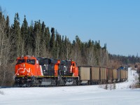 112 coal empties for Coal Valley negotiate the rollercoaster Foothills Sub. New CN ES44ACs 2876, 2914 and 2899 (rear DPU) provide the power.