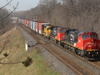 CN 2198 leads CN 2632 and Santa Fe 2514 out of Hamilton and in to Burlington under the RBG Laking Garden walk bridge on a nice sunny spring morning.