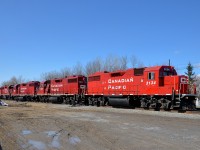 The Delson turn was switching the Delson Yard with a whopping 6 GP38-2's this afternoon (CP 3134, CP3047, CP 3032, CP 3099, CP 4401 & CP 3124).