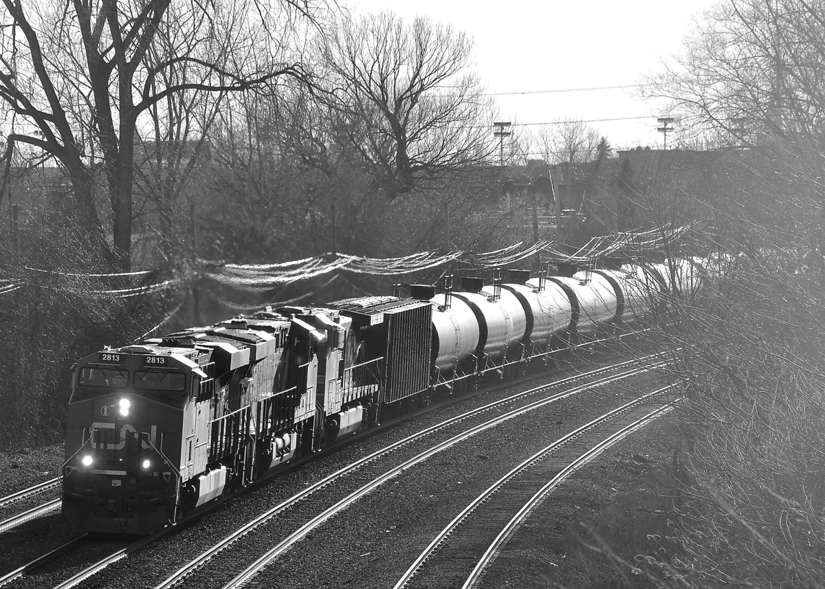 CN 710 is  coming out of the sun with CN 2813, CN 2815 & BNSF 4617 as power.