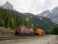 Cathedral Mountain and Mount Stephen are framed on either side of CP 198, which is climbing the Big Hill. CP 9716, looking rubby with coal dust, shoves as tail end remote, as CP 8944 and CP 8712 pull up front. 