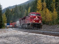 Looking in the other direction from the previous image, approximately a year before, we see CP 9751 grinding her way up the Big Hill at Yoho, sanders in full blast. Note the striped plow that this celebrity engine wore for the movie Unstoppable, with a near clean paint scheme. 