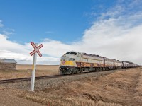 CP 4107 leading a CP business train back to Calgary, after a trip down to the USA. 