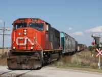 Back in 2010 I was fortunate to be able to shoot the CASO a few times before the area around Tilbury was abandoned some time later.  Here, CN 439 is crossing Morris Line, one of two locations (at the time) that still had operational wigwag signals protecting the crossing.