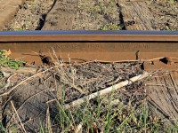 I had heard from an OSR conductor that some track in the St. Thomas Sub's Beachville siding was made up of pre-1900 forged rail.  This was the oldest I could fine.  Anyone know of anything older in Canada that is still in regular use?
